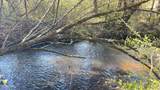37+Acres Ten Mile Rd - Photo 3