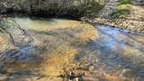 37+Acres Ten Mile Rd - Photo 4
