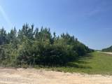 0 Nadine Stone Landing Road - Photo 3