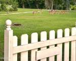 2666 Indian Springs Road - Photo 5