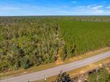 TBD County Road 274 - Photo 18