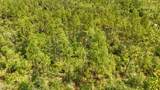 TBD Cowels Road - Photo 9