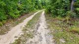 10541 Highway 2301 - Photo 39