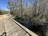 Tract#6317 Harris Stevenson Road - Photo 12