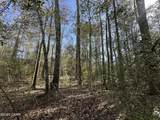 Tract#6317 Harris Stevenson Road - Photo 4