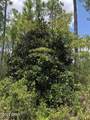 0 Timbercrest Road - Photo 3
