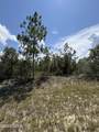 Lot 15 Trellis Drive - Photo 4