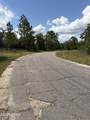 Lot 15 Trellis Drive - Photo 6
