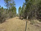 Tract#6416 Douglas Ferry North - Photo 12