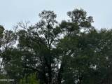Tract 6418 Mattox Springs Road - Photo 4