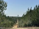 Tract#6416 S Douglas Ferry Road - Photo 1