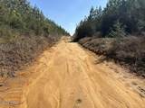 Tract#6416 S Douglas Ferry Road - Photo 3