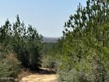 Tract#6416 S Douglas Ferry Road - Photo 4