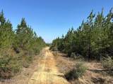 Tract#6416 S Douglas Ferry Road - Photo 5