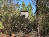 Tract#6416 S Douglas Ferry Road - Photo 8