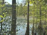 Tract#6201 Doyle Morgan Road - Photo 23
