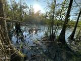 Tract#6201 Doyle Morgan Road - Photo 24