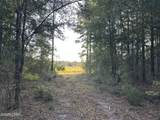 Tract#6201 Doyle Morgan Road - Photo 27