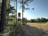 Tract#6201 Doyle Morgan Road - Photo 30