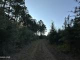 Tract#6201 Doyle Morgan Road - Photo 34