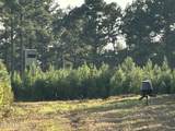 Tract#6201 Doyle Morgan Road - Photo 37
