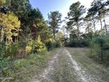 Tract#6201 Doyle Morgan Road - Photo 38