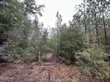Tract# Mattox Springs Road - Photo 5