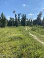 7960 County Road 274 - Photo 73
