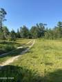 7960 County Road 274 - Photo 74