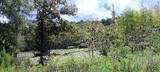 2006 Posey Acres Road - Photo 4