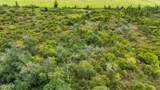 0 Jarrott Daniels Road - Photo 10