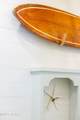 50 Camellia Street - Photo 21