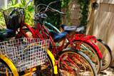 50 Camellia Street - Photo 64