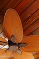 50 Camellia Street - Photo 8