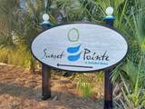 149 Sapodilla Lane - Photo 87