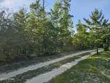 710 Peacock Circle - Photo 3