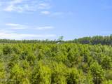 000 Coyote Trail - Photo 10