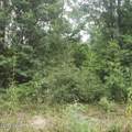 xxx Foxworth Road - Photo 6