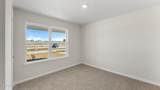 5037 Windrow Way - Photo 6
