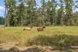 807 Allison Drive - Photo 42