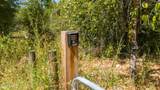 0 Hasty Pond Road - Photo 9