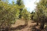 15003 Bass Drive - Photo 46