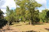 15003 Bass Drive - Photo 73