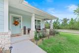 11434 Palm Breeze Street - Photo 4