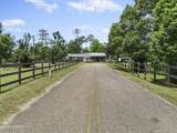 133 Devane Road - Photo 5
