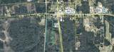 27.59 Acre Hwy 231 And Cartledge Rd - Photo 6