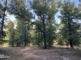 7958 County Rd 274 - Photo 45