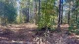 0 Flowersview Boulevard - Photo 15