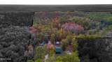 38134 Forest Road 123 - Photo 2