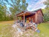38134 Forest Road 123 - Photo 24